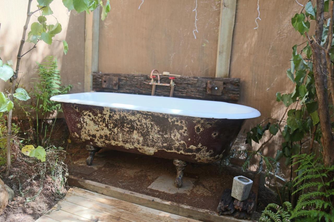 Kereru Site Hotel ไวฮี ภายนอก รูปภาพ